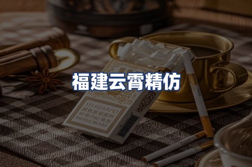 福建云霄精仿